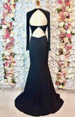 Alaina Sleeved Sparkly Dress SALE